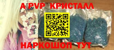 твердый Бийск