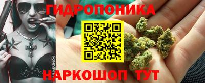 твердый Бийск