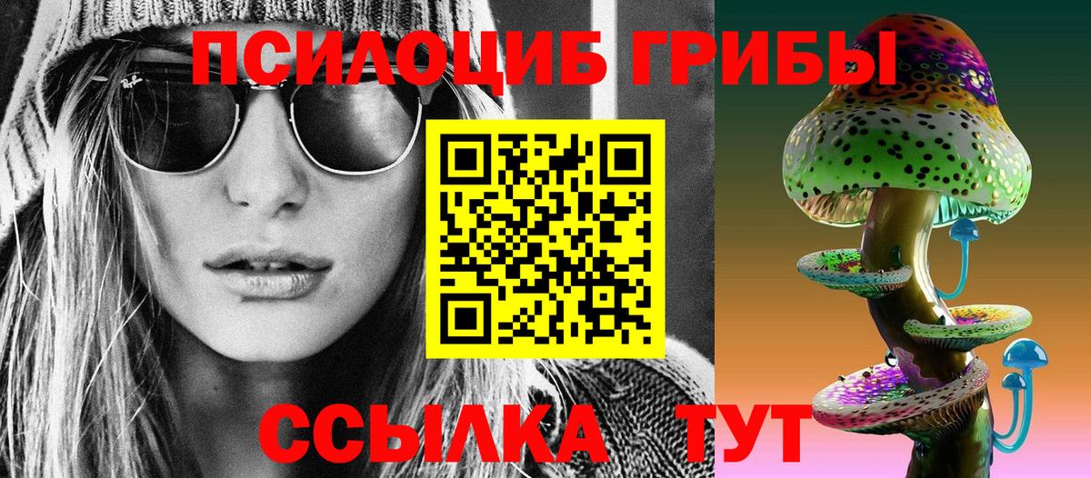 Псилоцибиновые грибы Psilocybine cubensis  Вход с VPN  Касимов 
